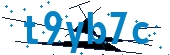 recaptcha